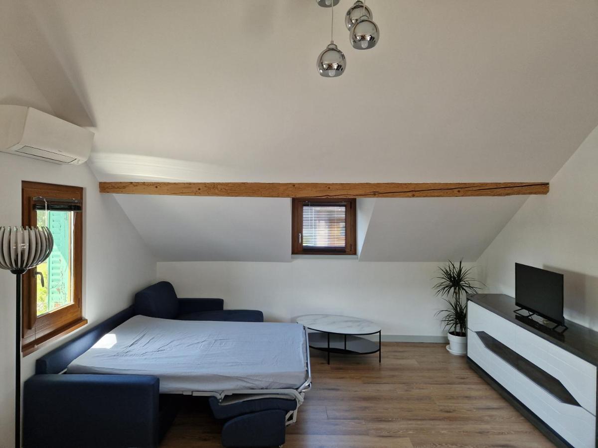 Appartement F2 A 1Mn Du Lac أفيو لي با المظهر الخارجي الصورة